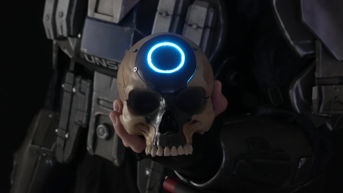 Halo Infinite Oddball Skull