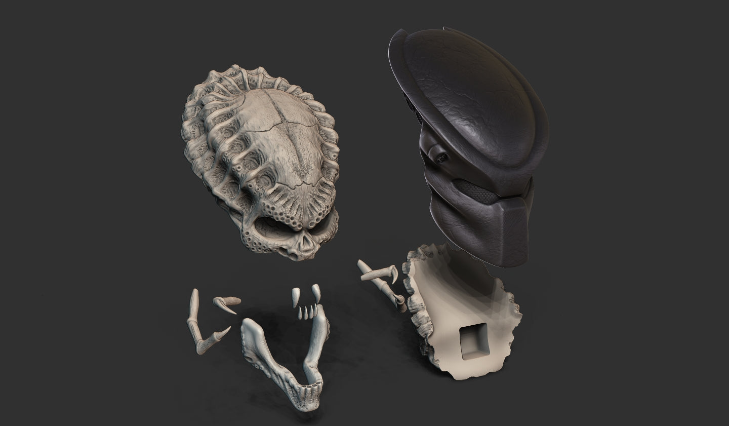 Jungle Hunter Predator Skull Trophy | Wall Mountable