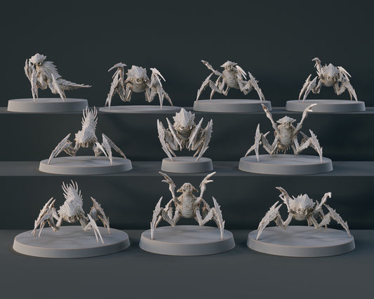 Terminid Army - Set of 10