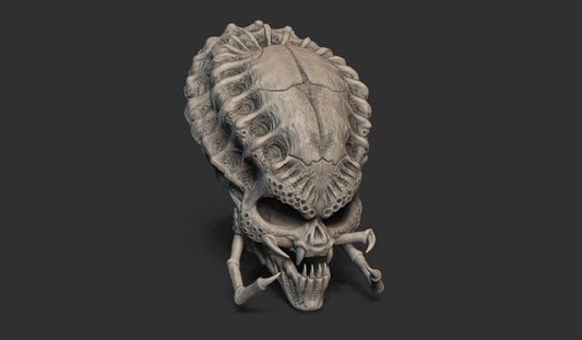 Jungle Hunter Predator Skull Trophy | Wall Mountable